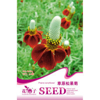 我要发芽 花卉种子 草原松果菊种子 紫锥菊 紫锥花 菊花种子 30粒/包【专卖店、旗舰店、报价大全】-苏宁易购开放平台
