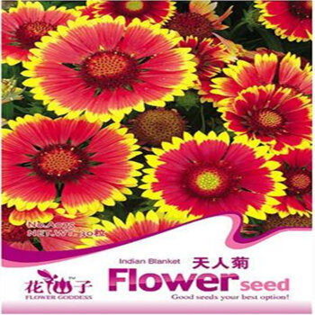 北园湖 菊花花卉种植种子菊科观花植物万寿菊雏菊矢车菊等 阳台庭院花卉 四季种植 30粒 天人菊种子【图片 价格 品牌 报价】-京东