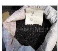 专业销售能源种子花椒种子,黄连木种子,香樟种子,花木种子[供应]_世界工厂网中国产品信息库