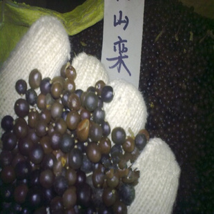 种苗、种子、种球-特价批发花卉种子 栾树种子 栾树绿化树-种苗、种子、种球尽.