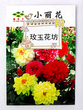 【草花玉】最新最全草花玉 产品参考信息