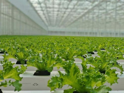 崇明打造农业科创岛,在水产 花卉 生态 种源四大领域开展深入研究