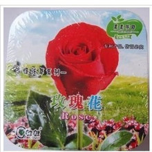 【古怪花草系列】_绿植园艺价格_最新最全绿植园艺返利优惠_一淘网