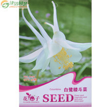 【易活花种】最新最全易活花种 产品参考信息