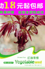 【花仙子花卉】最新最全花仙子花卉 产品参考信息