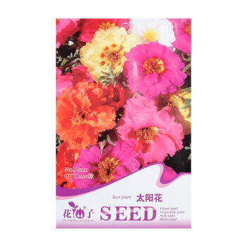彩包种子花卉种子庭院种植五叶地锦种子四季绿四季播种 太阳花【图片 价格 品牌 报价】-京东