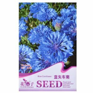 津沽园艺 花仙子系列芙蓉花 芙蓉 矢车菊 翠菊种子 花卉种子 盆栽种植 花园种植 庭院美化 1包-家居装修-亚马逊中国