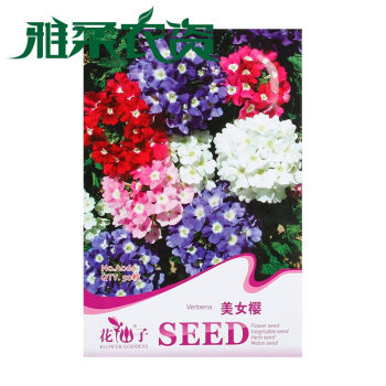 雅柔 阳台易种室内盆栽红绣球加拿大细叶美女樱花卉种子彩包包装 美女樱 美女樱【图片 价格 品牌 报价】-京东