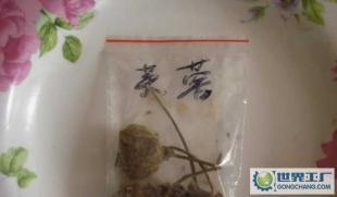 出售芙蓉花种子,各种花卉苗木种子,草种_世界工厂网中国产品信息库