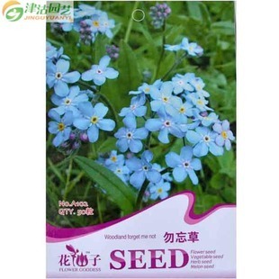 津沽园艺 花卉种子勿忘草蓝色勿忘草种子花种子四季播盆栽易活|一淘网优惠购|购就省钱