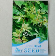 【攀援花卉种子】最新最全攀援花卉种子 产品参考信息