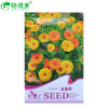 【金盏菊 花卉种子阳台园艺休闲产品 彩色精品包装和纸上种芽苗菜种子无土栽培阳台种菜荞麦萝卜空心菜双维藤小麦种子 阳台种菜 豌豆500g哪个好】金盏菊 花卉种子阳台园艺休闲产品 彩色精品包装和纸上种芽苗菜种子无土栽培阳台种菜荞麦萝卜空心菜双维藤小麦种子 阳台种菜 豌豆500g有什么区别-商品比较-