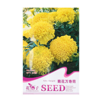 彩包种子花卉种子庭院种植五叶地锦种子四季绿四季播种 菊花万寿菊【图片 价格 品牌 报价】-京东