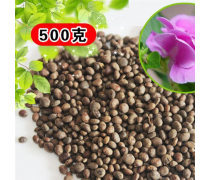混色种子企业黄页