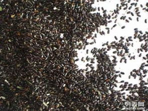 图 花卉种子进口代理报关 植物种子进口清关 种子进口包税清关 深圳物流