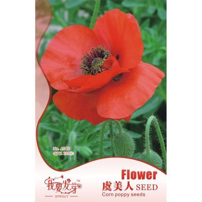 【我要发芽园艺休闲旗舰店】我要发芽 花卉种子 虞美人种子 观赏罂粟 丽春花 赛牡丹 120粒/包 -苏宁易购