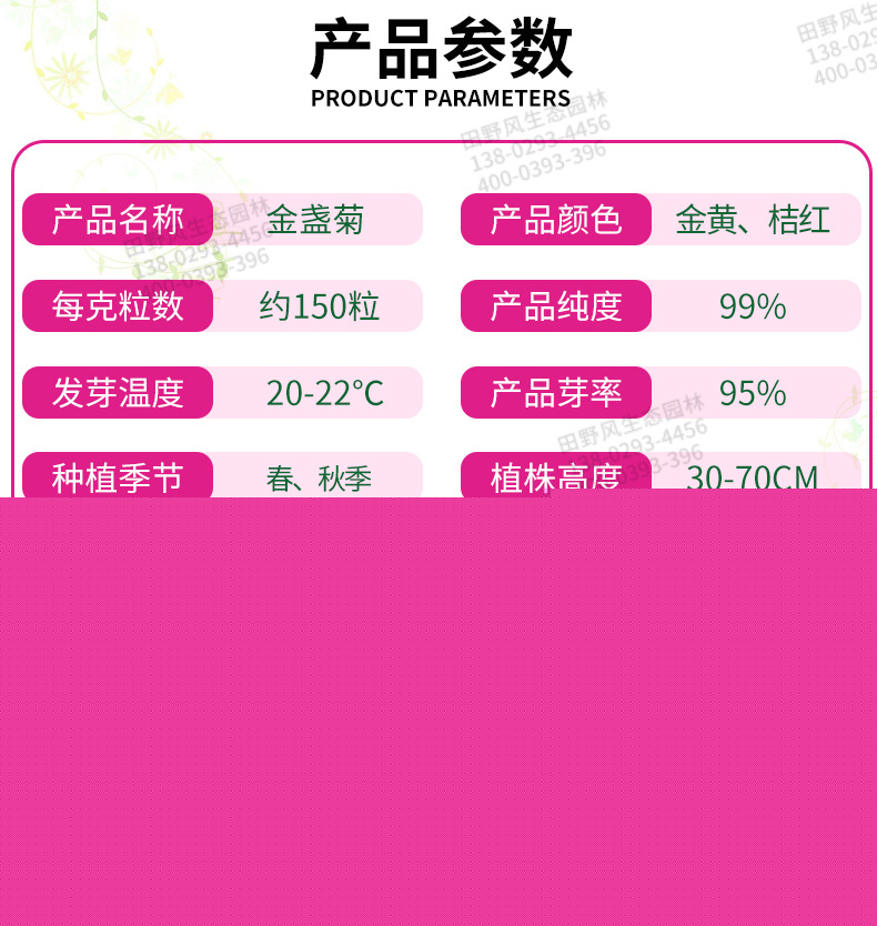 工厂绿化花卉种子厂家供应 易存活耐寒金盏菊花花籽黄金菊种子
