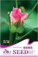 【棉花种子】最新最全棉花种子 产品参考信息