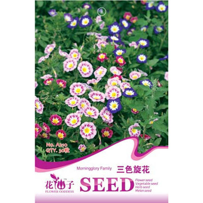 【我要发芽园艺休闲旗舰店】我要发芽 花卉种子 三色旋花种子 打碗花 三色朝颜花 爬藤 30粒/包 -苏宁易购