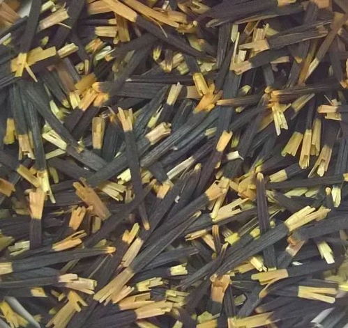 种子类型知识分享,教你如何选择适于自己播种的花卉种子