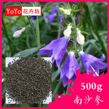 【南沙参种子】最新最全南沙参种子 产品参考信息