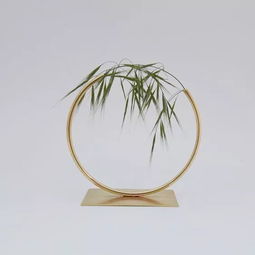做一个专业的 花瓶 好么