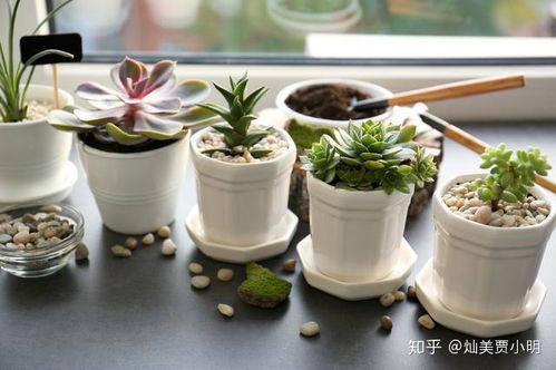 年轻人创业好项目,没经验也能做,轻松逆袭当老板