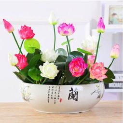 一品好特惠,专注于收集拼多多优质商品,拼多多内部优惠券