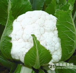 花菜粉包邮价格与花卉种子产品报价全解析